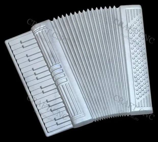 Acordeon — miniatură 2